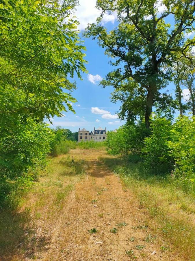 Вилла Chateau Des Nouies Сель-сюр-Шер Экстерьер фото